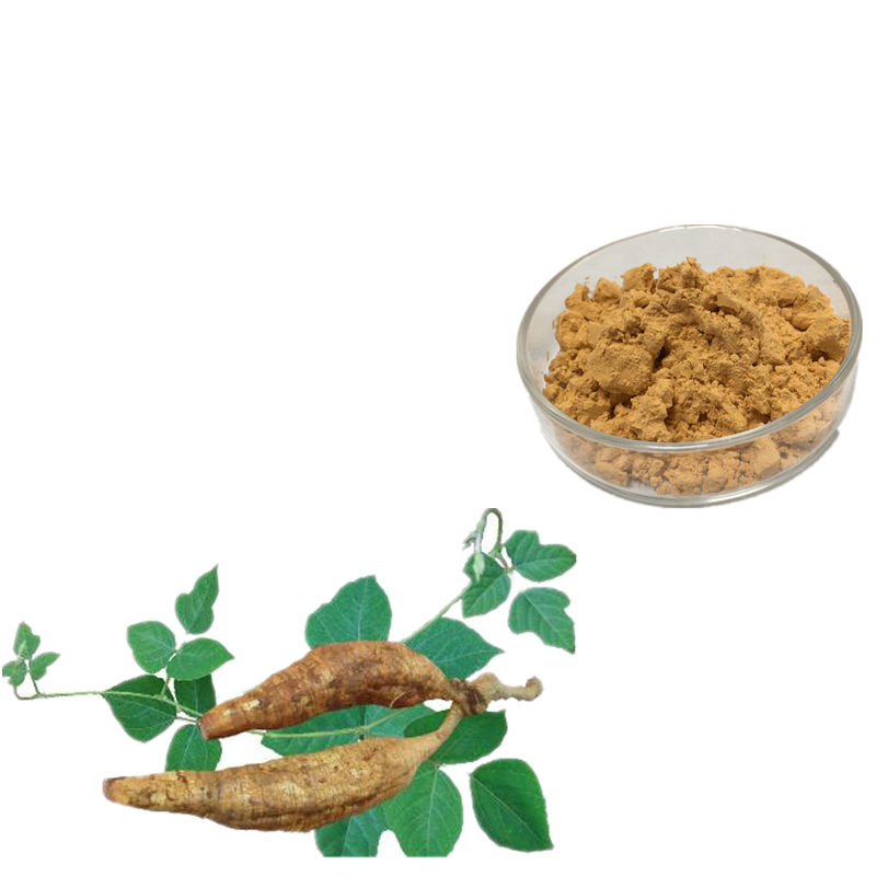 Pueraria Root Extract Isoflavones