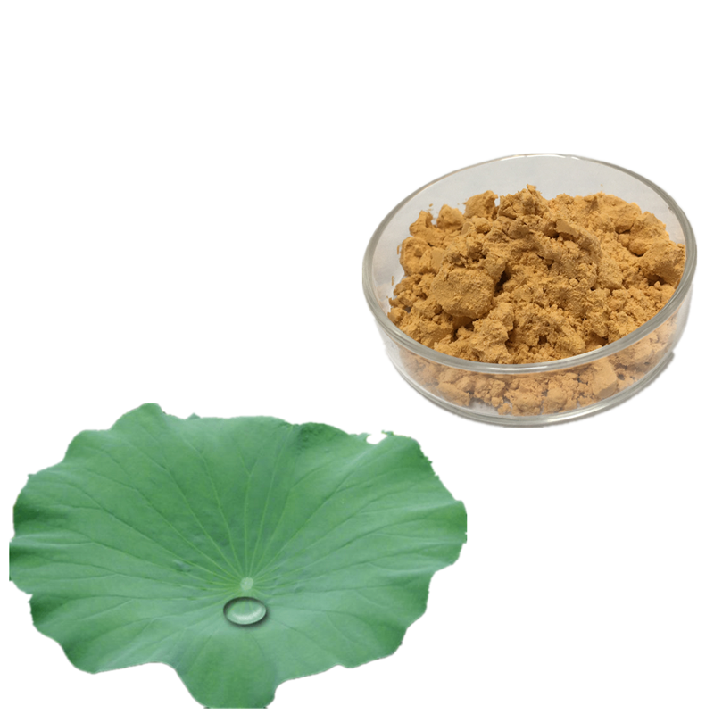 Lotus Leaf Extract