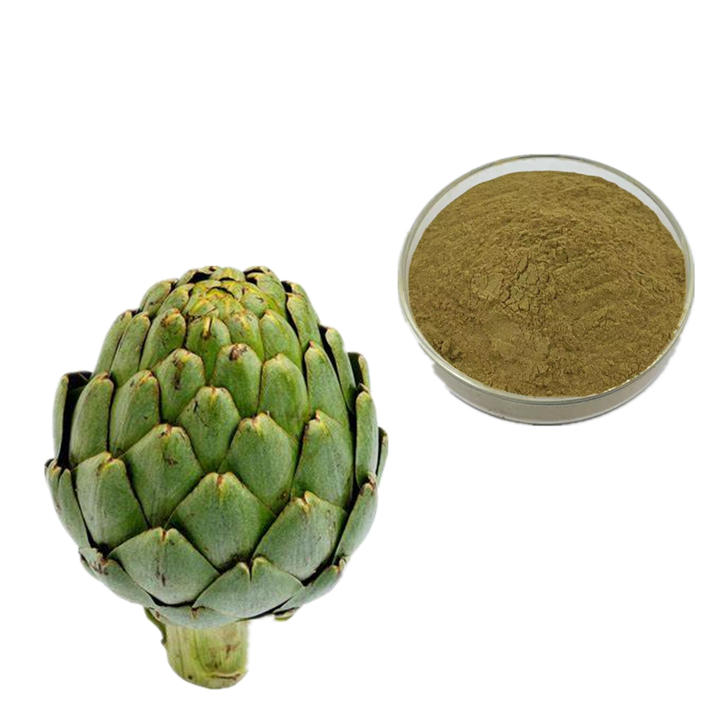 Artichoke Extract