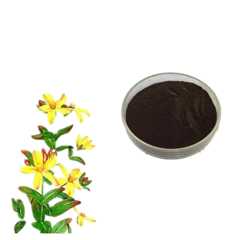 St. John's Wort Extract