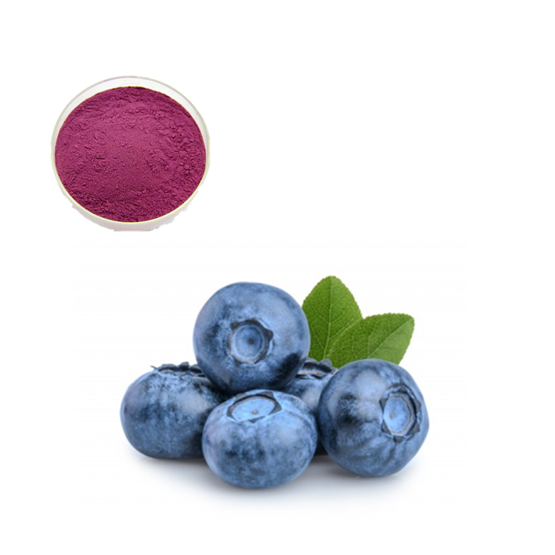 Bilberry Juice Powder