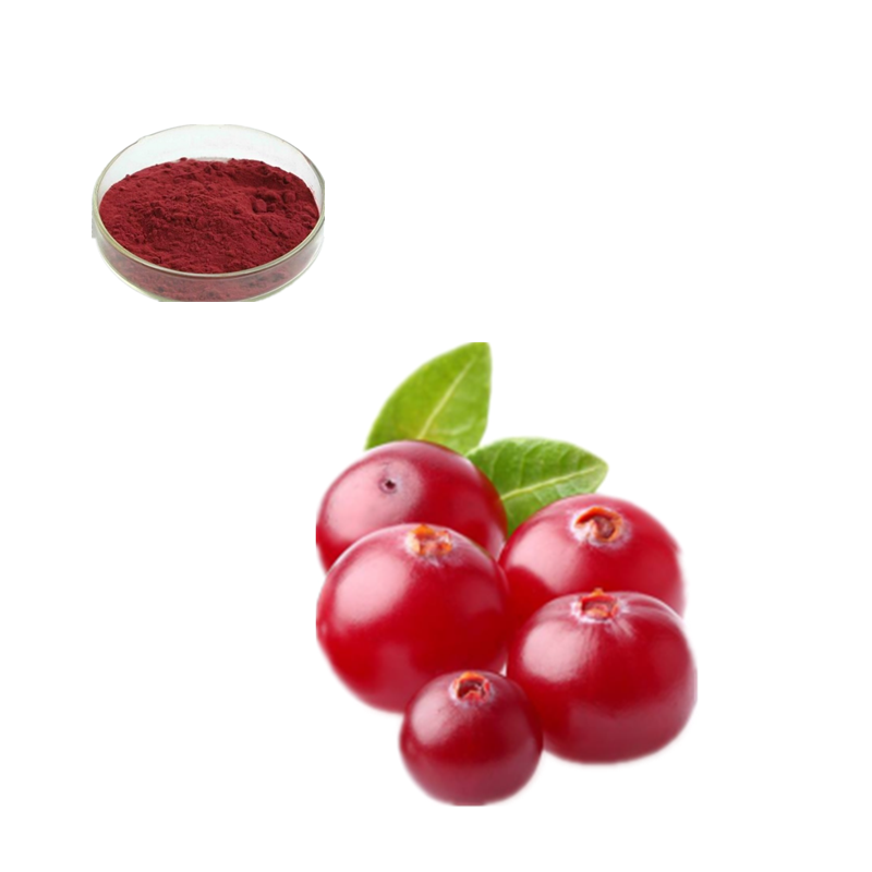 Cranberry Juice Powder