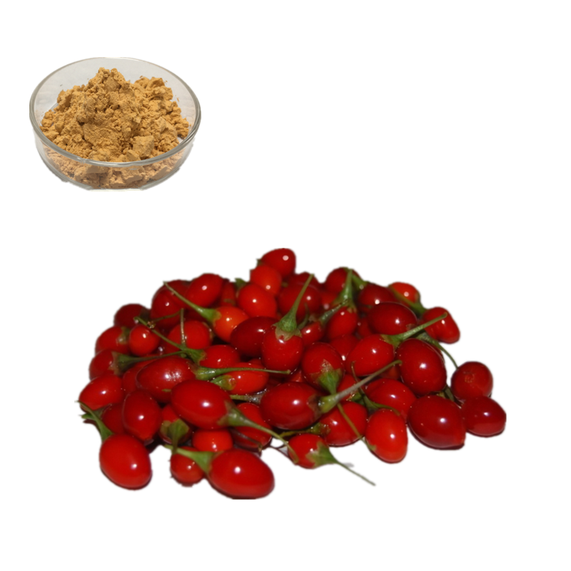 Wolfberry Juice Powder