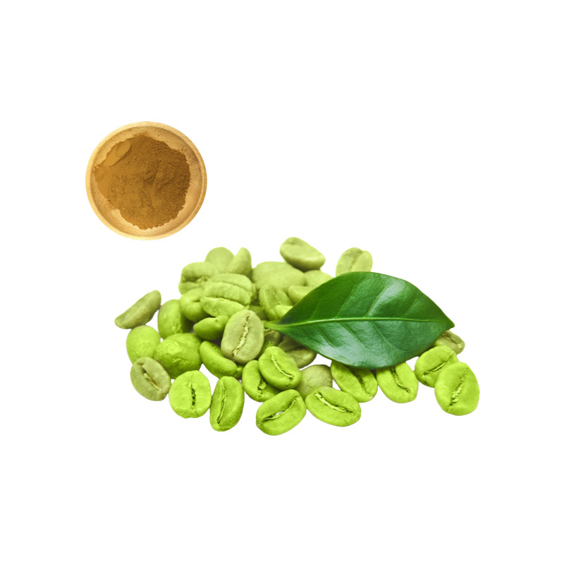 绿咖啡豆提取物