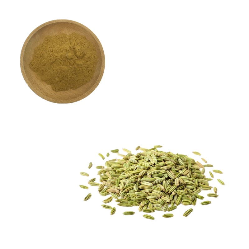 茴香提取物