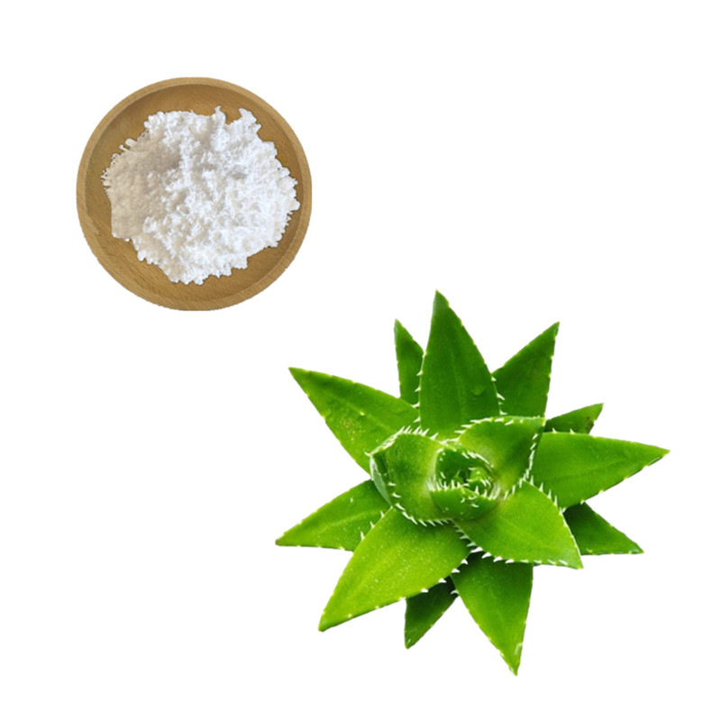 Aloe Vera Gel Freeze Dried Powder