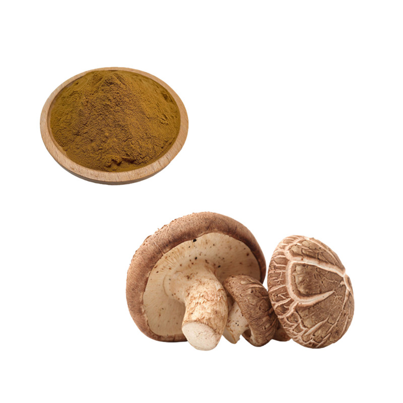 Shiitake Mushroom Extract