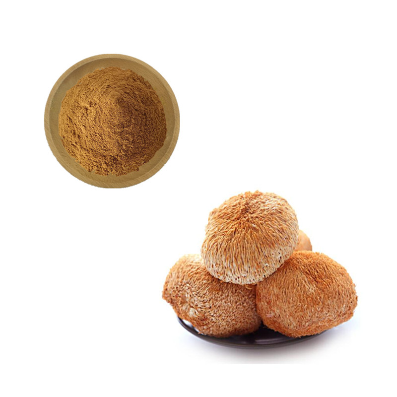 Lion's Mane Extract