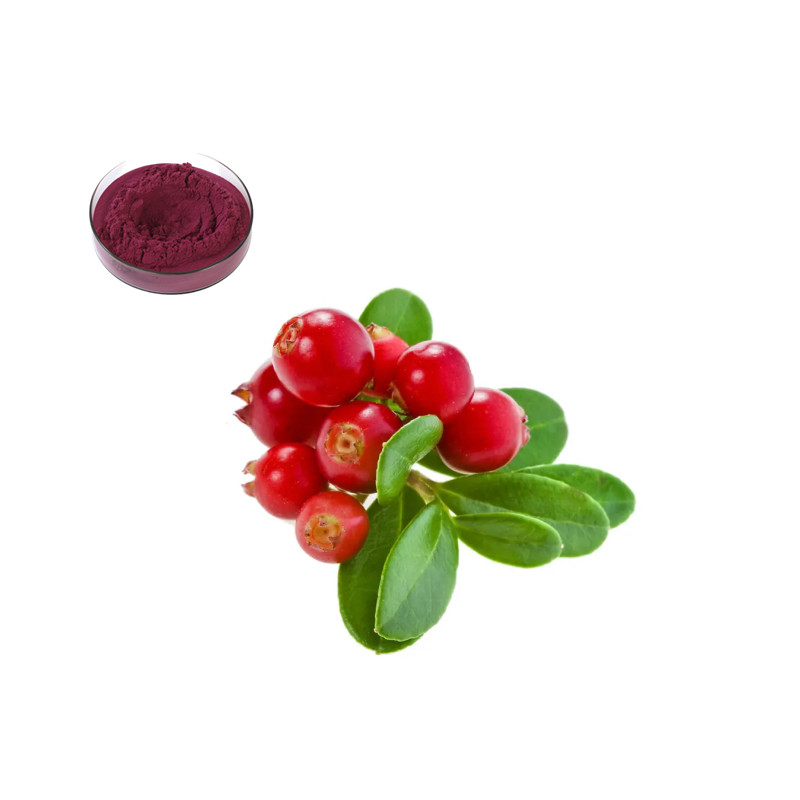 Bilberry extract