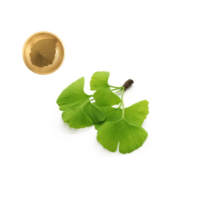 Ginkgo Biloba Extract