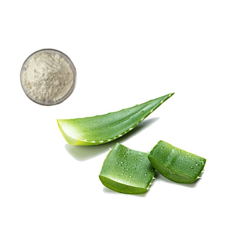 Aloe Vera Gel Spray Dried Powder