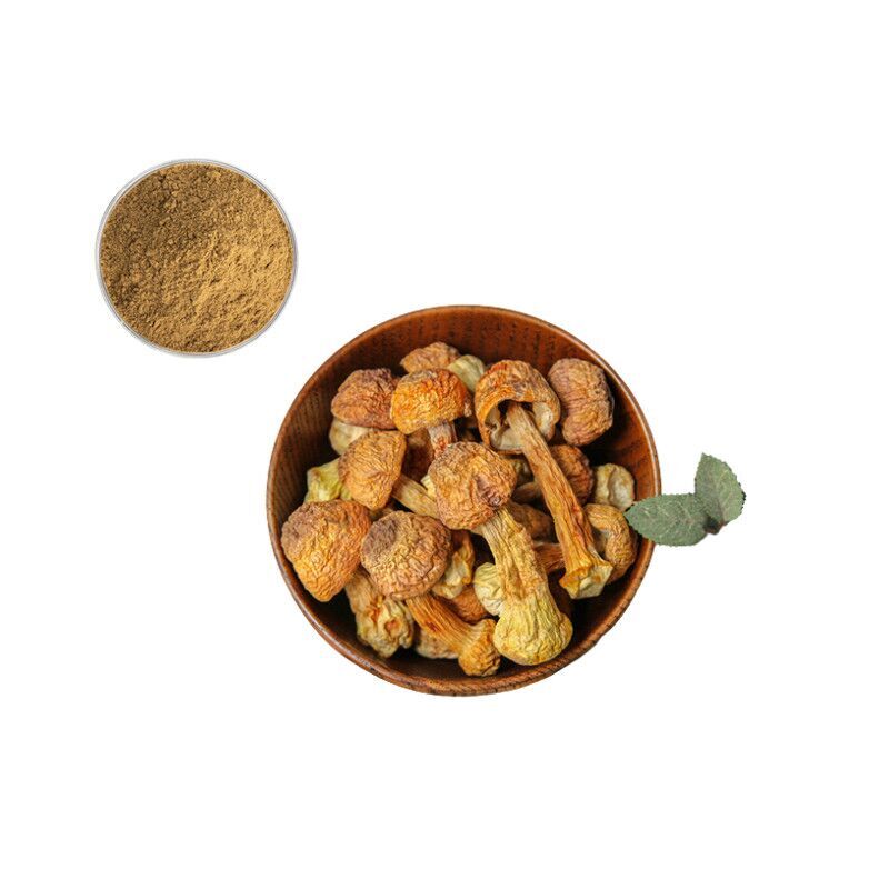 Agaricus Blazei Extract