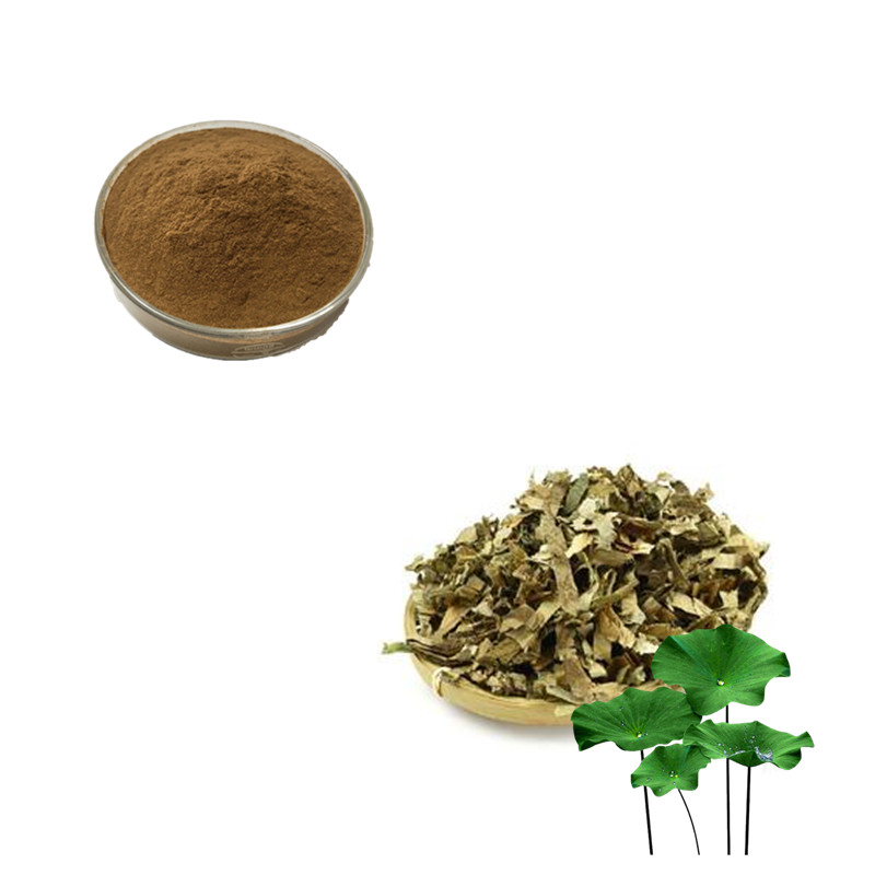荷叶提取物