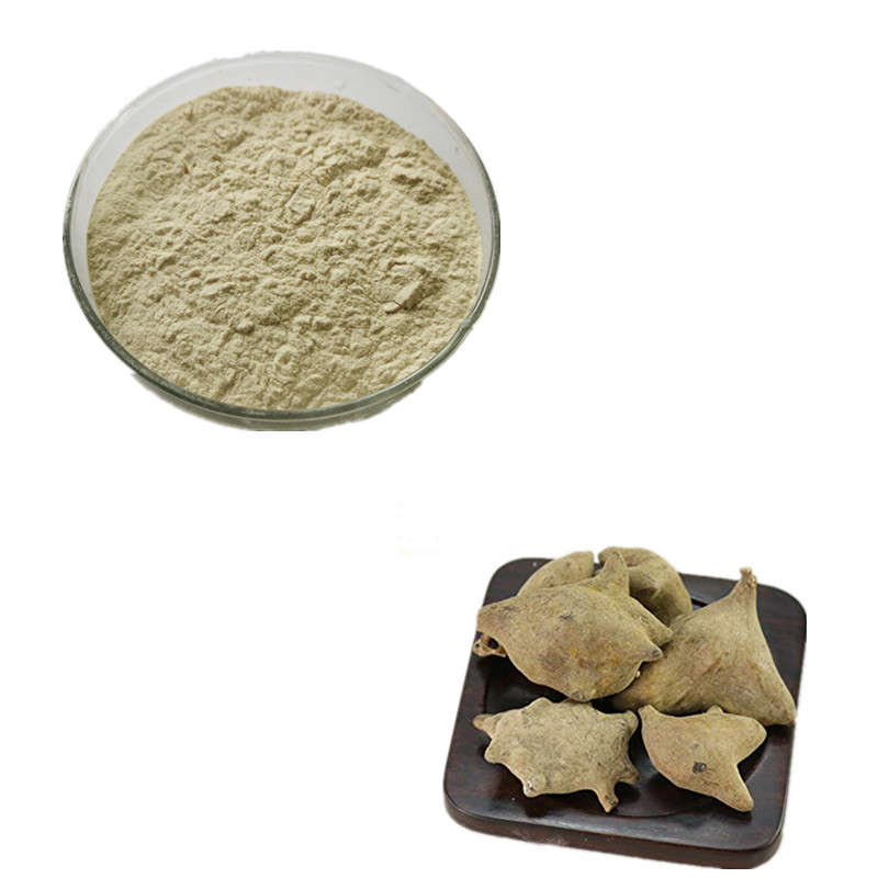 Galla Chinensis Extract