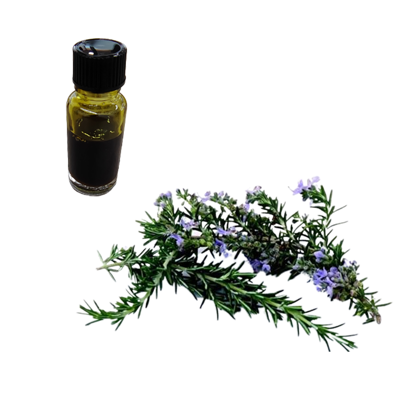 Rosemary Essential Oil
