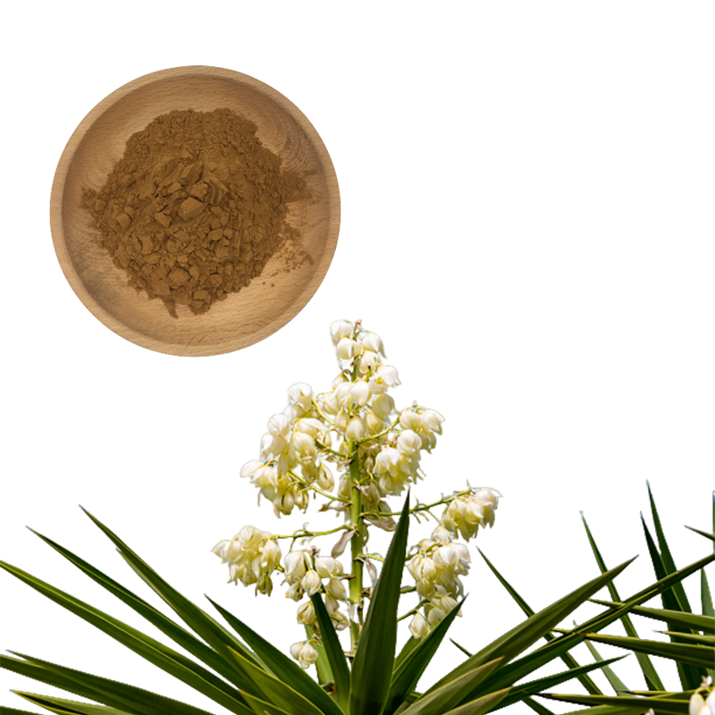 Yucca Extract