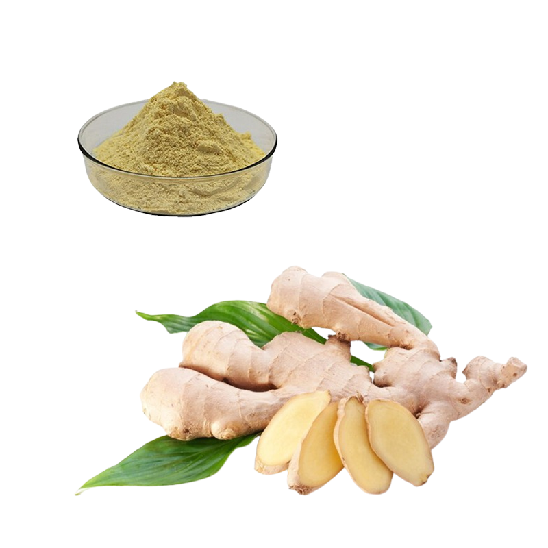 Ginger Root Extract