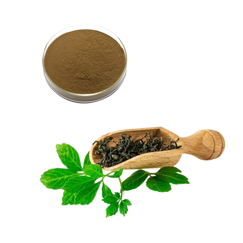 Gynostemma Extract