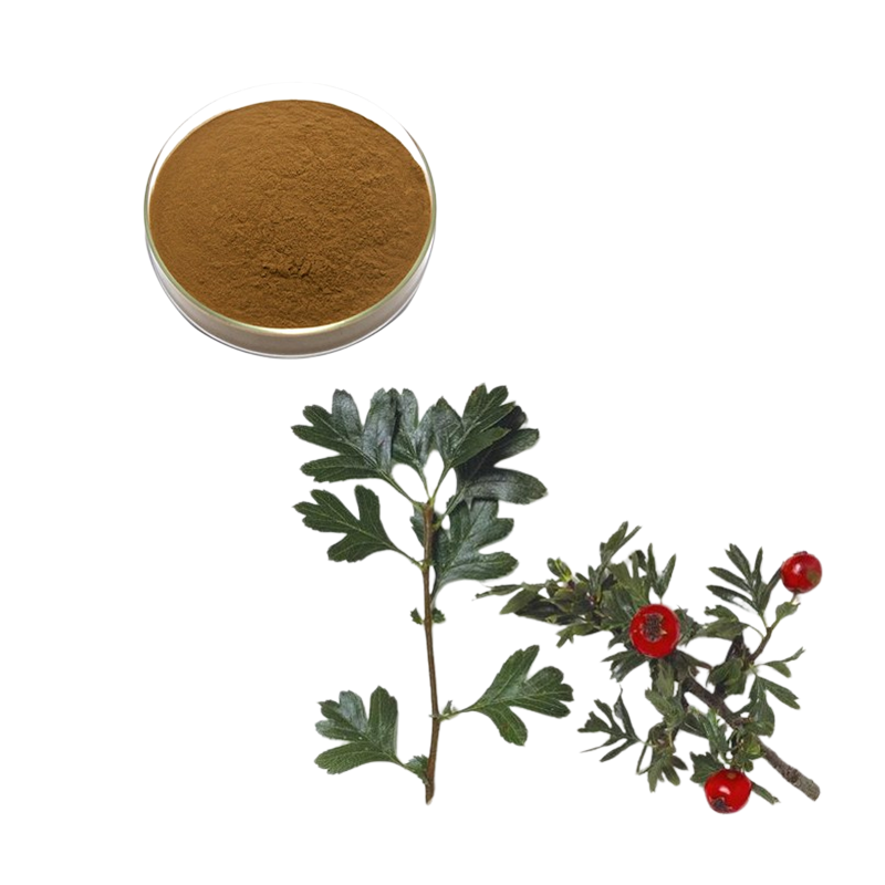 Hawthorn Leaf Extract