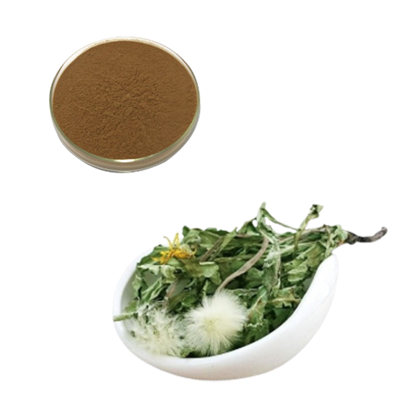 Dandelion Extract