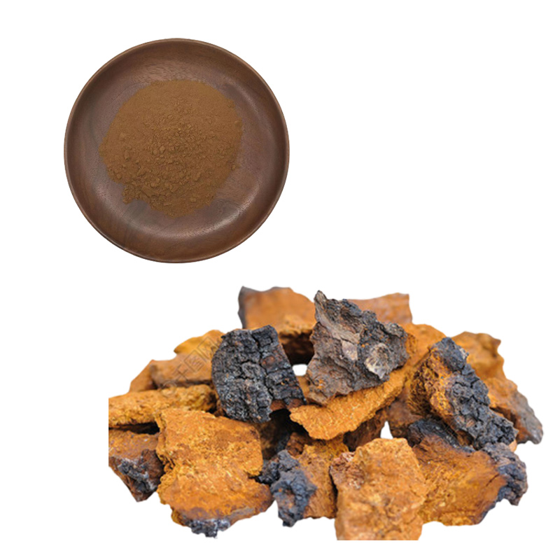 Chaga Mushroom Extract