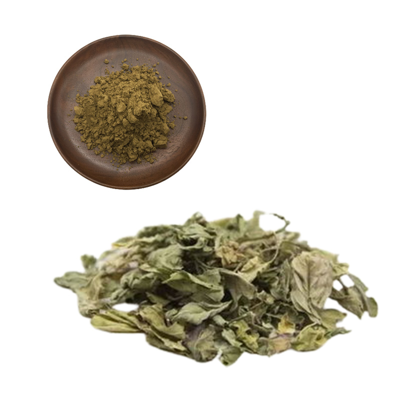 Mulberry Leaf Extract