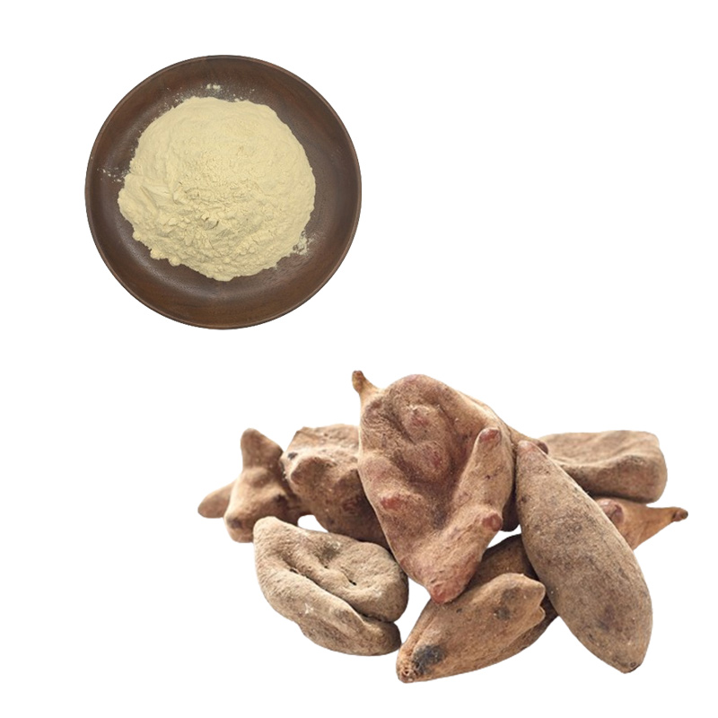 Galla Chinensis Extract